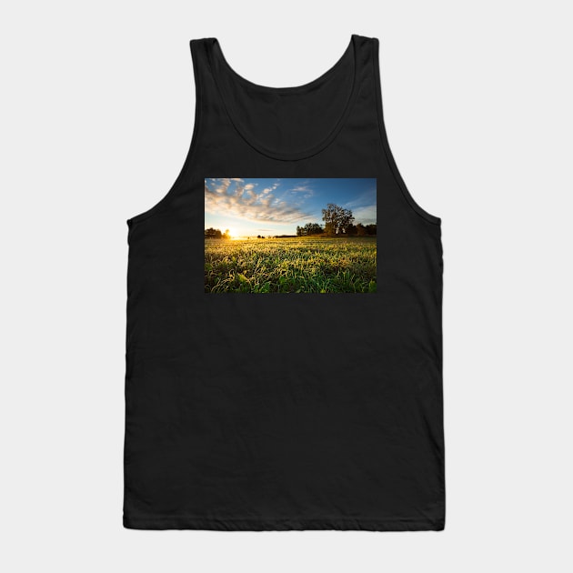 Tranquil grassland and trees at sunrise Tank Top by Juhku